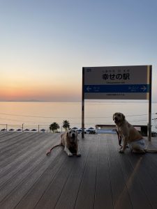 3月の診察予定について